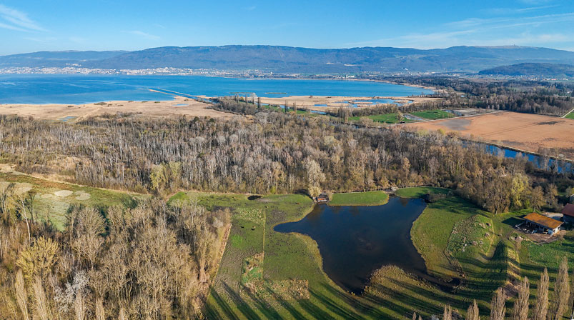 Das Bild zeigt den Neuenburgersee von oben.